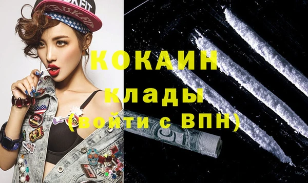 хмурый Алзамай