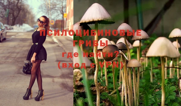 таблы Алексеевка
