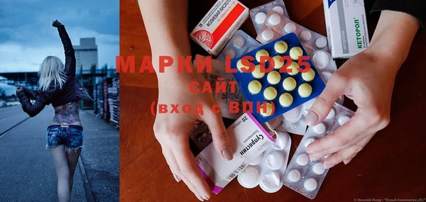 хмурый Алзамай