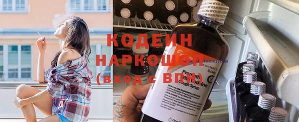 хмурый Алзамай